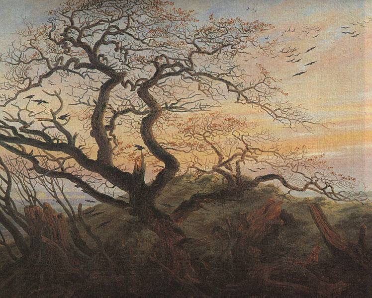 Tree with crows